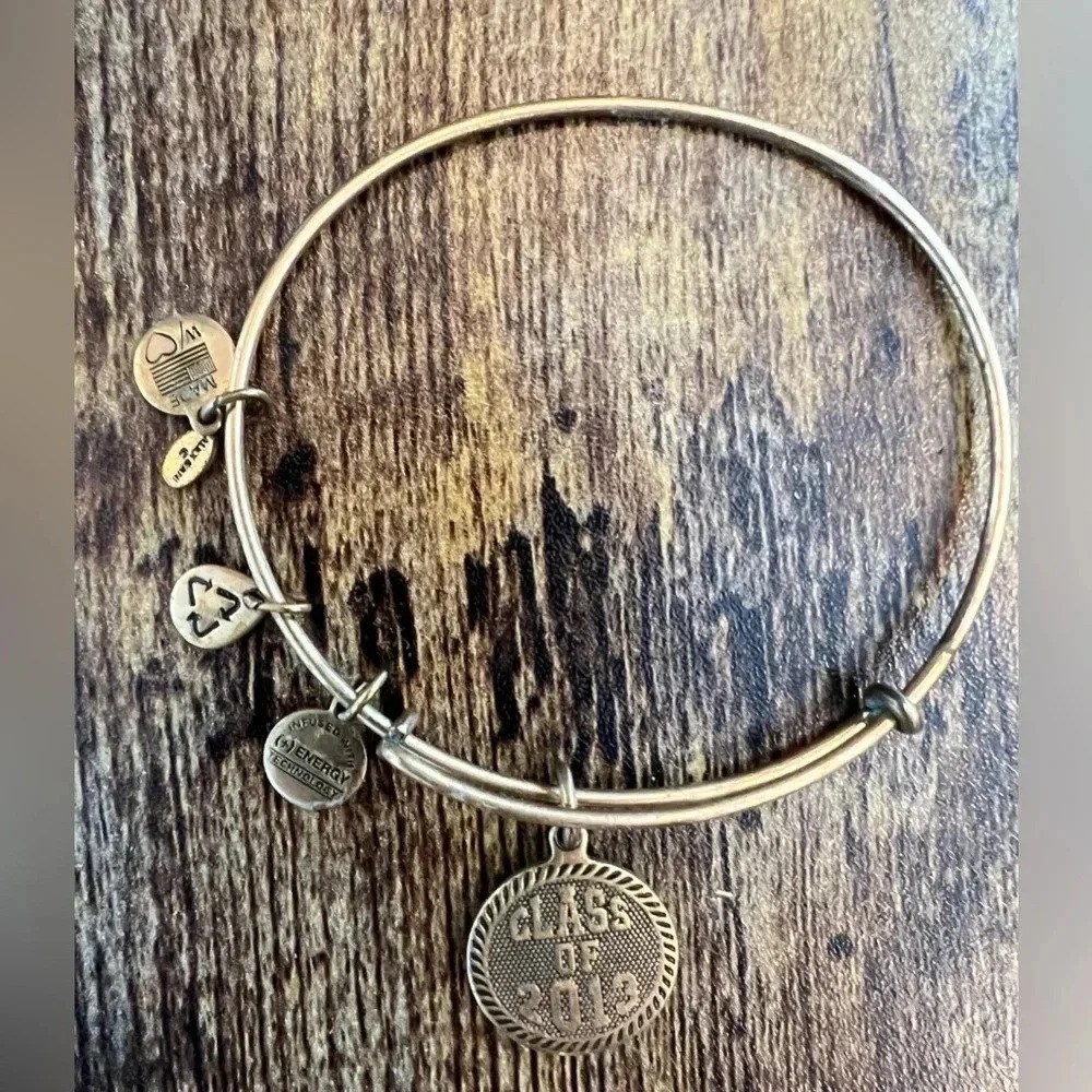 RETIRED: Alex and Ani | Class of 2013 charm bracelet - Picture 13 of 14